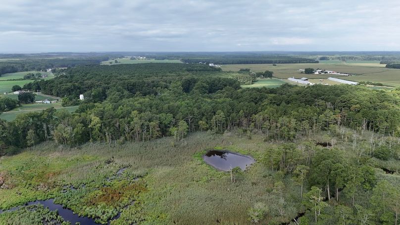 IMG8_58AC_dji_fly_20250811_083818_0012_1754945056430_photo