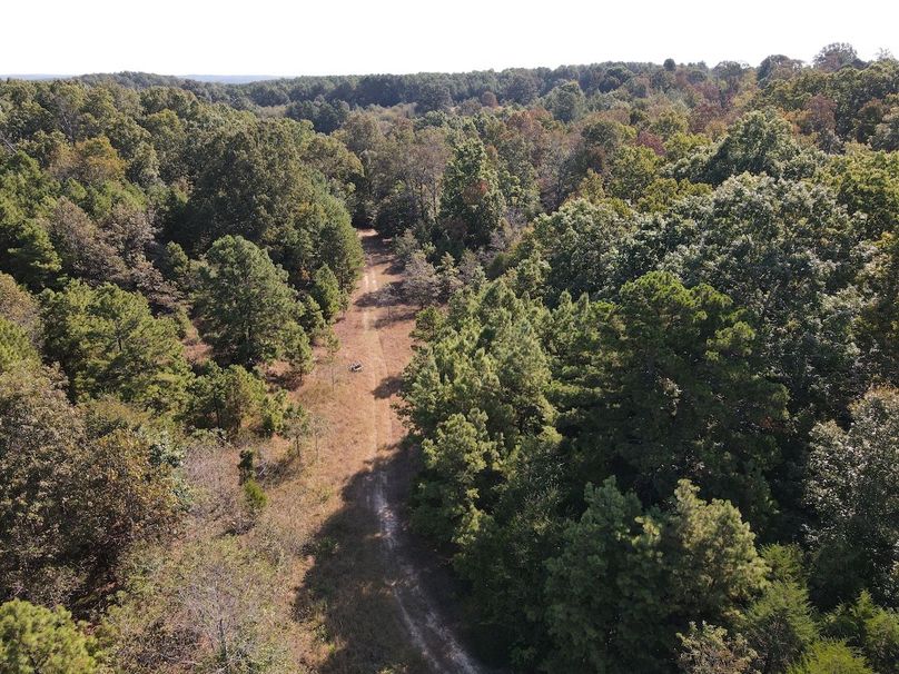 dji_fly_20250902_095142_710_1756824718001_photo