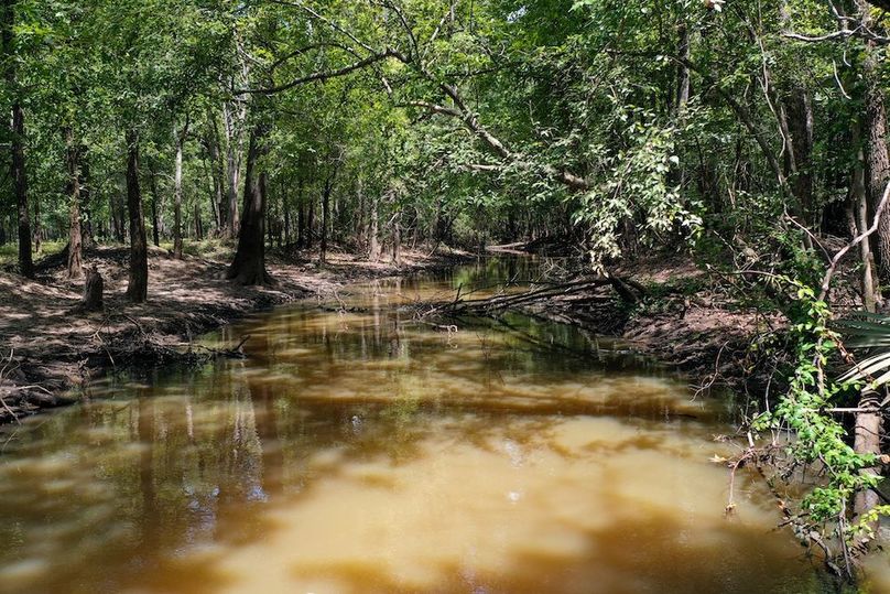 31 Leon Co. 117ac-16