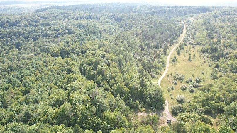 dji_fly_20250804_162408_503_1754355792420_photo