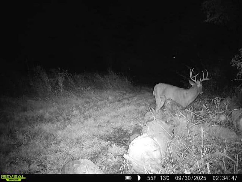 9ec0dd2a-fd14-444c-b8d5-e6e8c45ea467