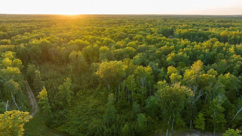 Cass MN 1095 Featured ProPhoto-110