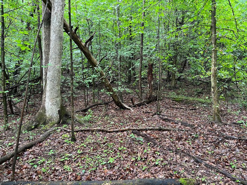 Wirt, WV 150.75 AC Tinnell-36