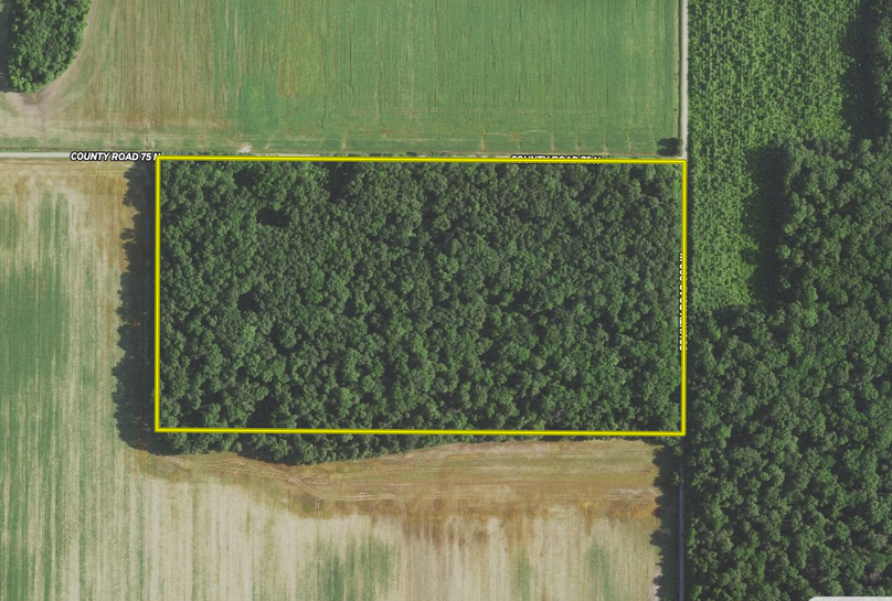 Screenshot 2023-07-30 at 8.31.41 AM