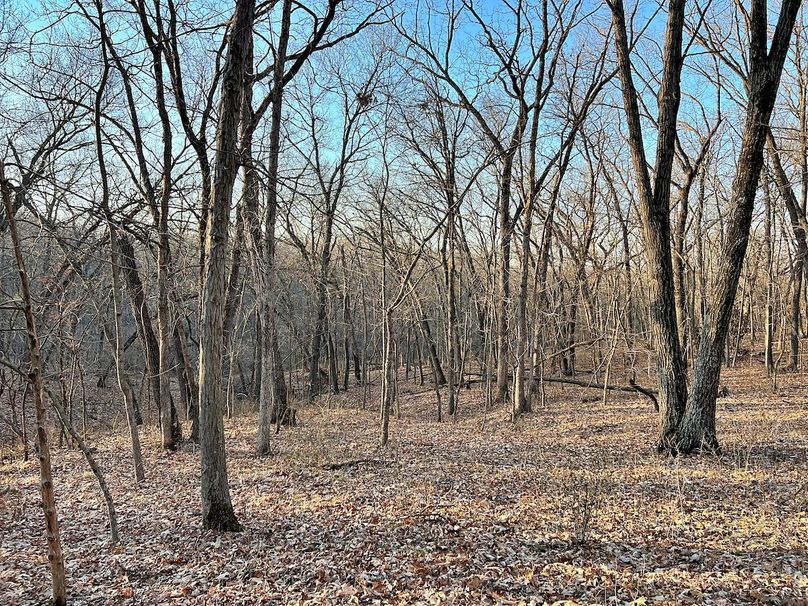 IMG_5323