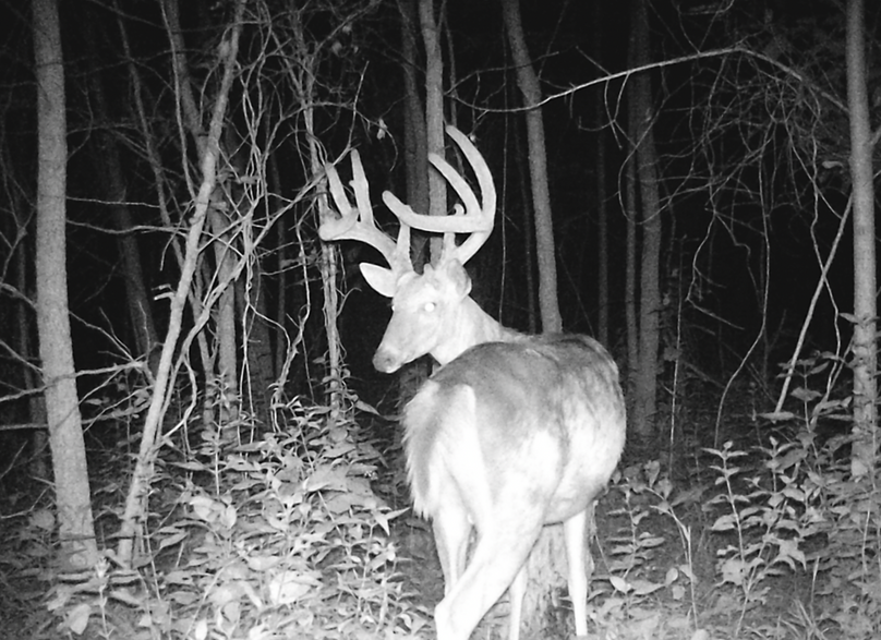 Screen Shot 2024-01-22 at 6.40.18 AM