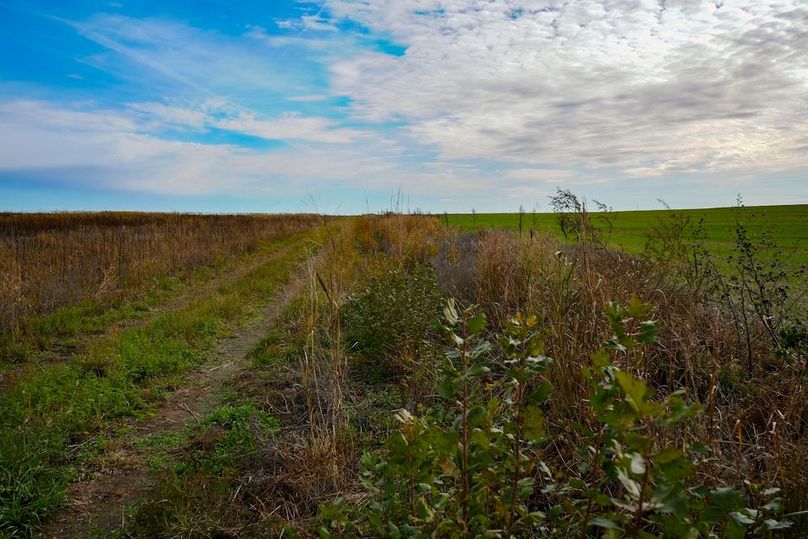 Dickinson Co, 154.5_066