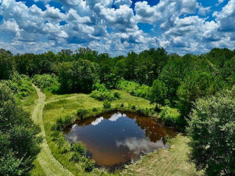 48BE47AA-C8FE-4E21-9824-7B48DAA9BB8B_1_201_a