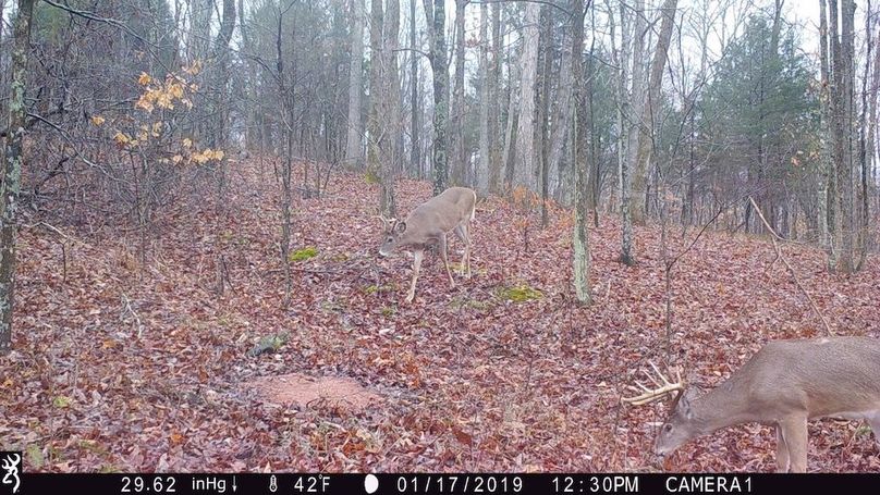 trail cam14