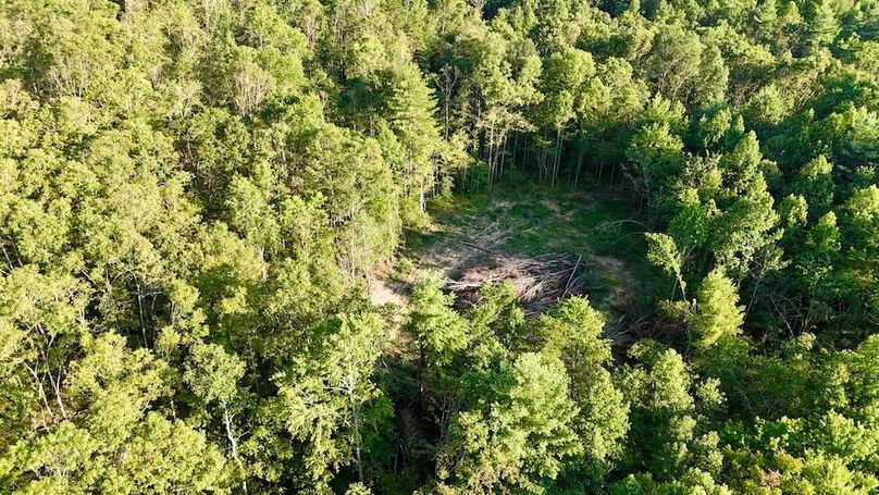 DJI_20250724191235_0011_D
