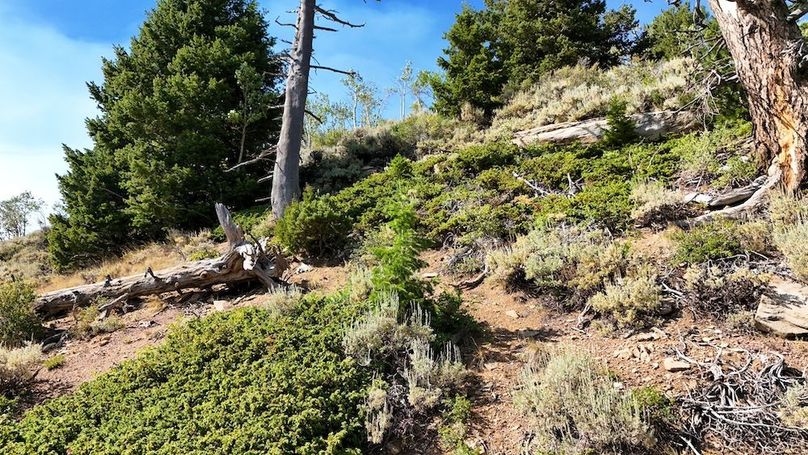 DJI_20250726164920_0048_D