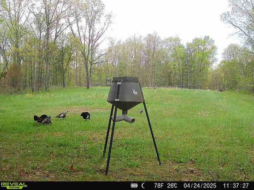 860516065555348-100-4-04242025113726-W1001422