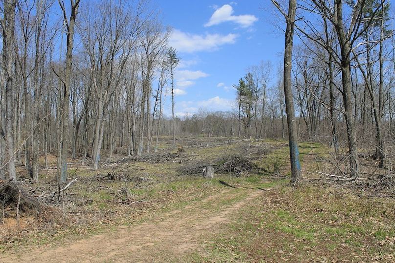 40p