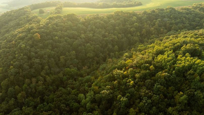 Copy of Winona MN 138 Featured_Pro Photo-88