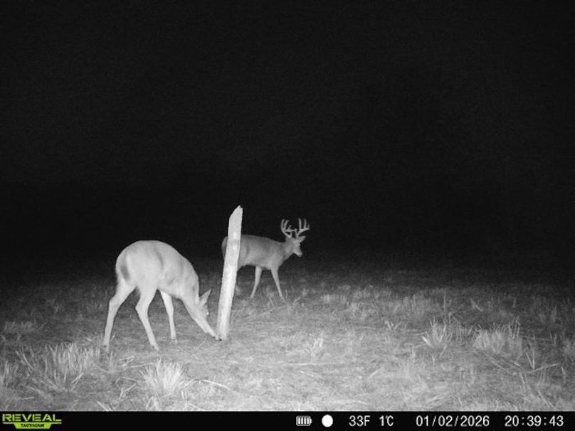 860322062100349-100-4-01022026203944-V-W1005857