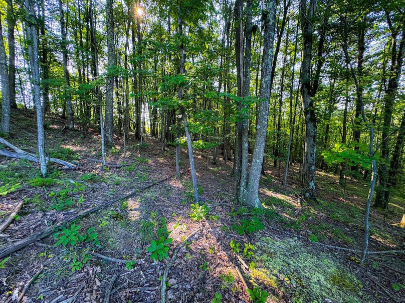 Lewis, WV 82.87 AC Barger-096