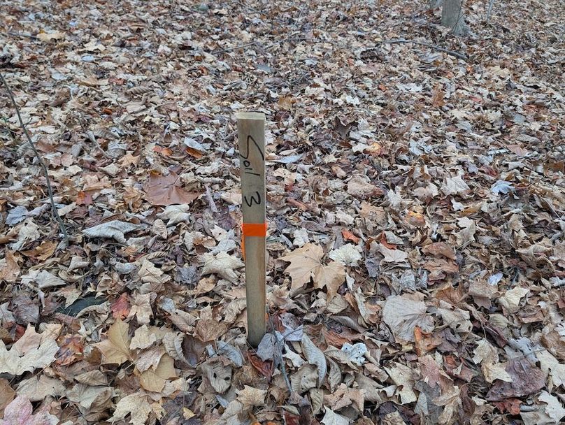 PXL_20251120_190557153