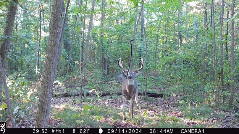 Trail Cam.7