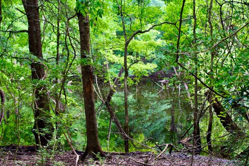 5F67884C-C950-470F-BDFF-2D7037B980DE_1_105_c