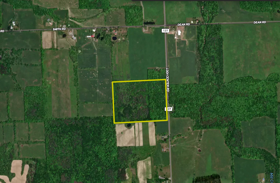 Seneca_43_Hohwald_Landid_3