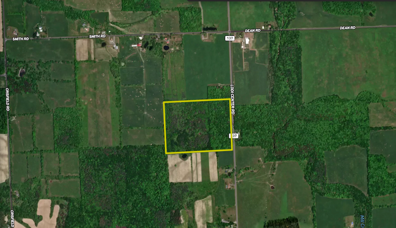 Seneca_43_Hohwald_Landid_3