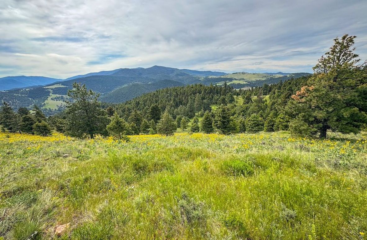 1. 20250611-IMG_4474