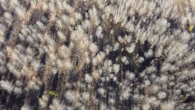 2024-01-30-15-48-48-783