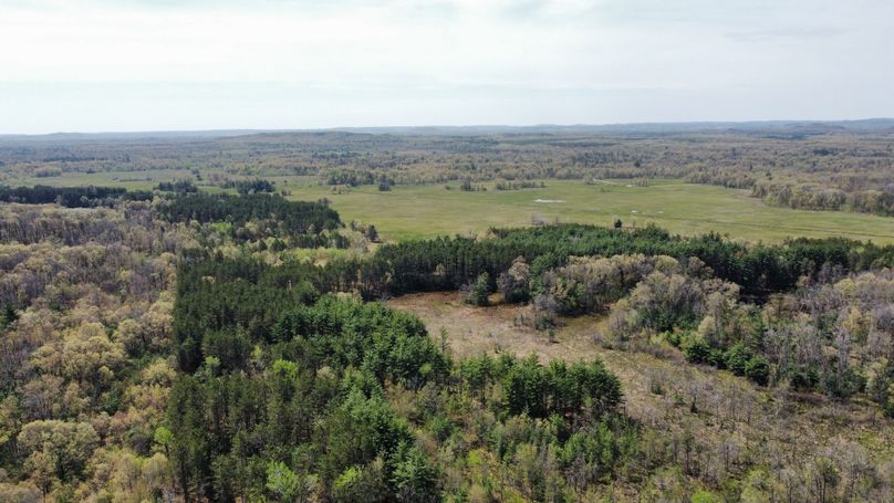 dji_fly_20230511_114010_447_1683838304092_photo_optimized