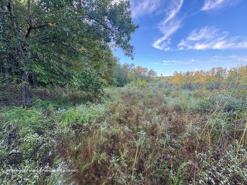 DeSoto 109 Prewett -28