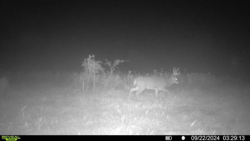 016579000262944-60-4-09222024032913-SYFW00254