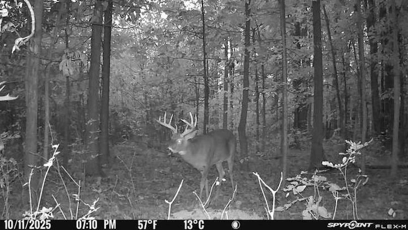 Copy of 908B0E89-C393-4213-83DB-79F28A2D3103