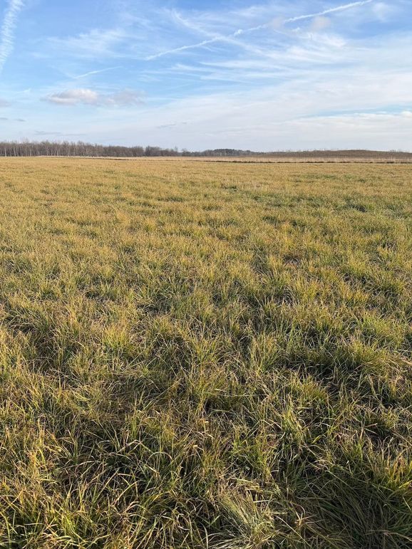 7308E670-19CE-4F66-B719-13177FE0BF11