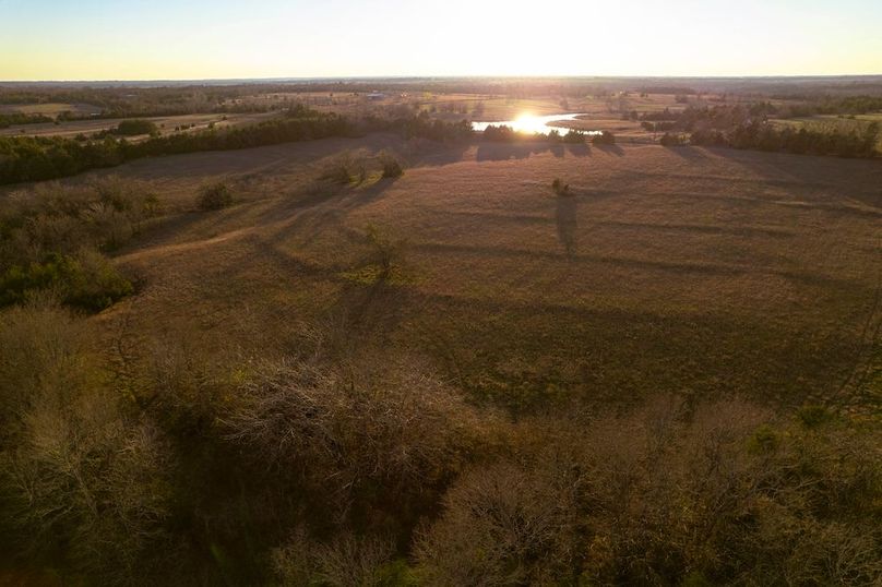 Lamar County 76.5 acres (14 of 23)