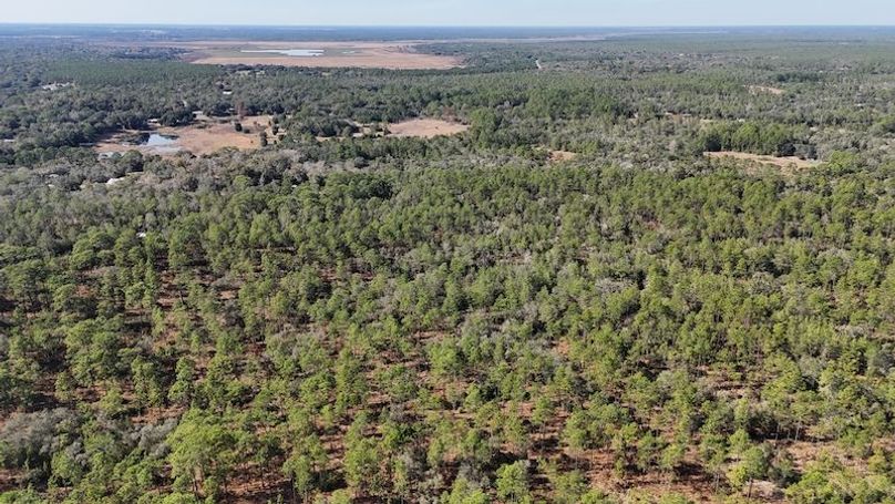 dji_fly_20251204_132734_0028_1764872861469_photo