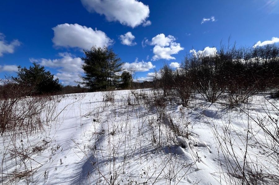 Oswego_10.76_Somberg Photo 29