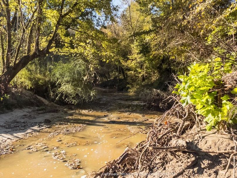 Claiborne Co-189-Geronimo-11