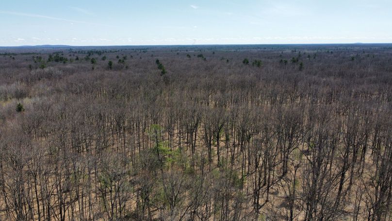 dji_fly_20230503_115328_359_1683230745677_photo_optimized