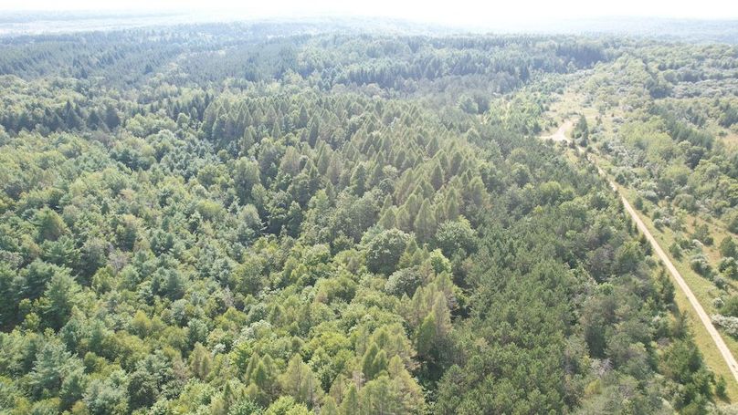 dji_fly_20250804_162426_504_1754355795653_photo