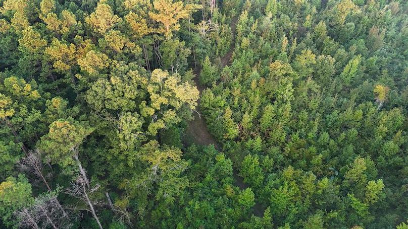 Madison Co - 40 - Clerk-16