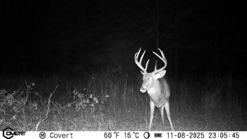 11_08_2025_23_05_45_3244556898