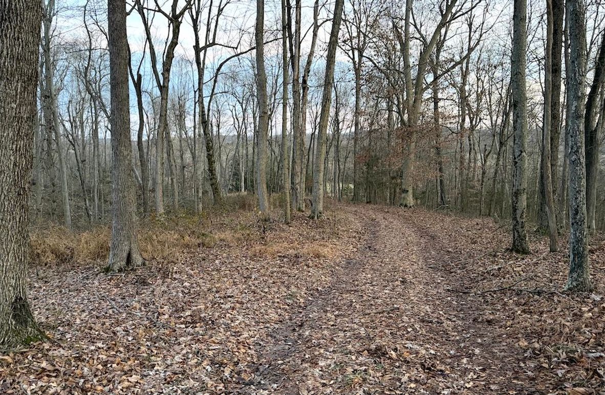 Grayson 48.195 Johnson3