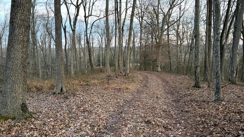 Grayson 48.195 Johnson3