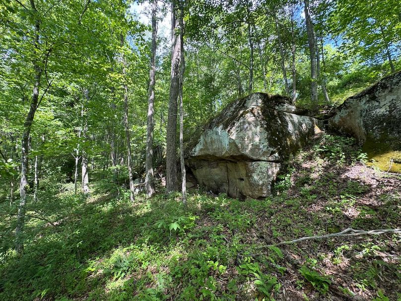Calhoun, WV 29 AC Minney-25