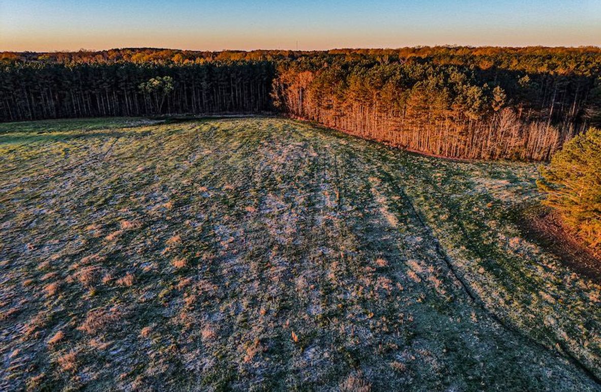 Chickasaw Tract 5-01