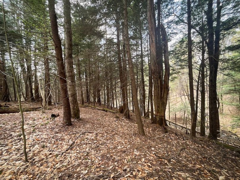 Tioga_76.65_Matyjas_Photos_24