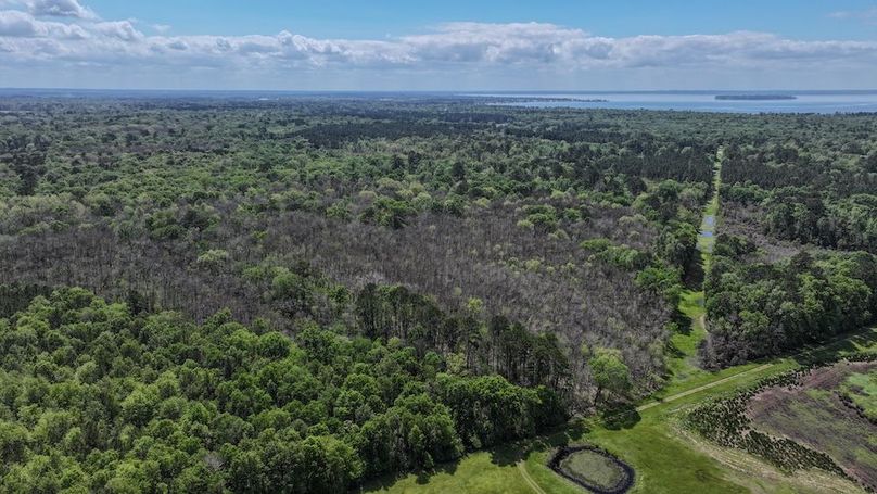 DJI_20260327115836_0048_D