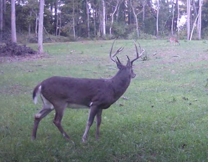 Screen Shot 2024-01-22 at 6.12.42 AM