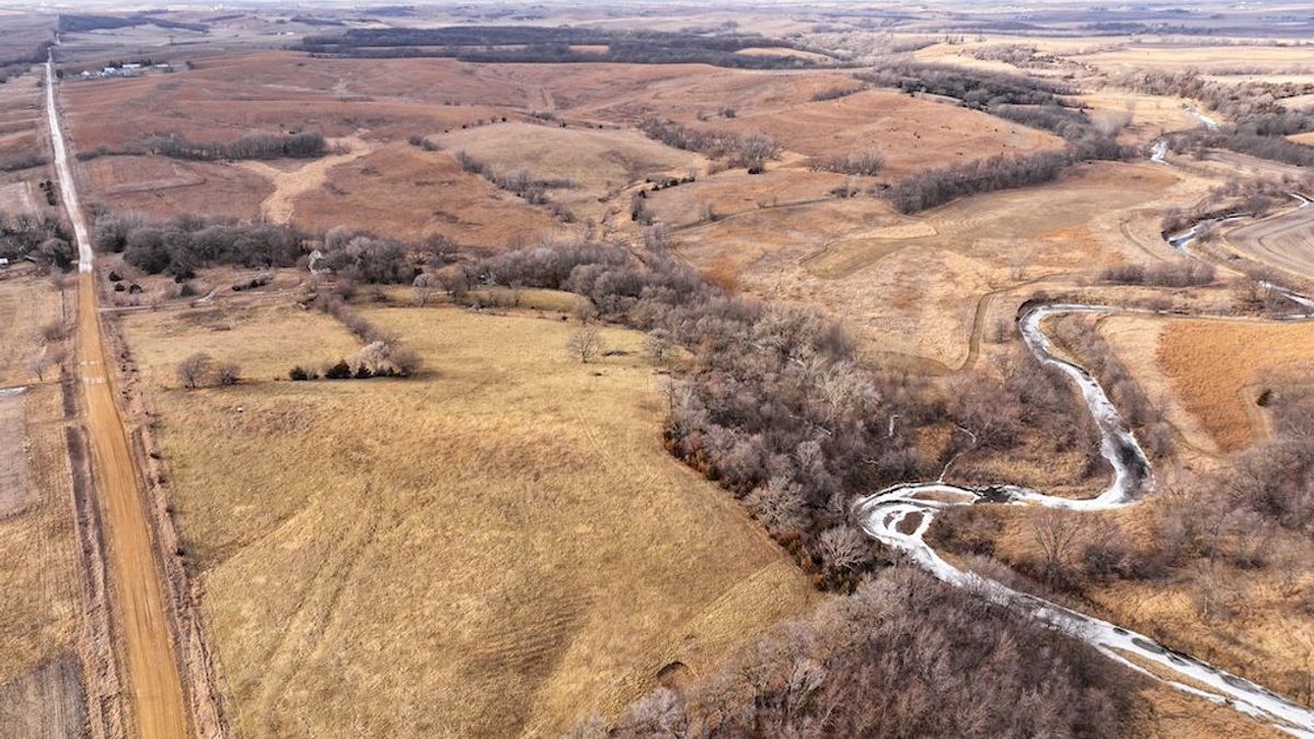 Image showcasing Exceptional CRP, Pasture, And Hunting Farm Near Coon Rapids | Whitetail ...