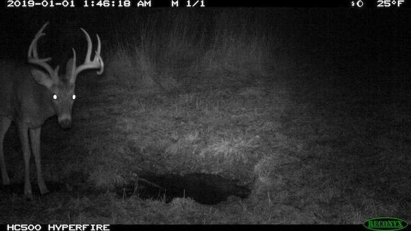 2019-01-01 01-46-18 M 1_1