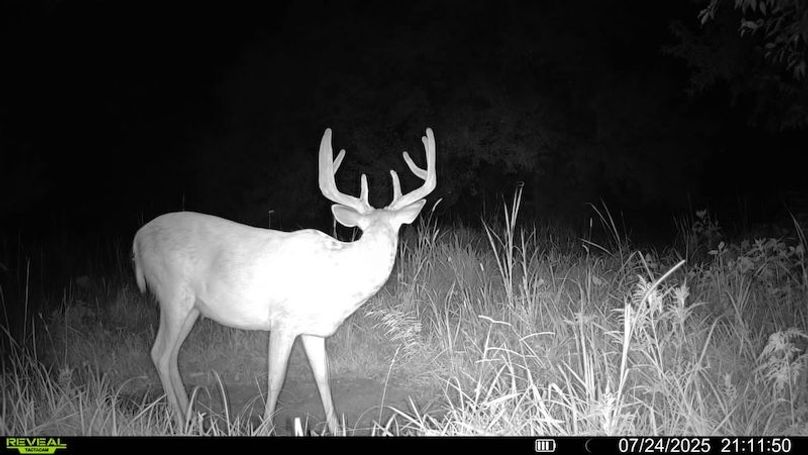 016579000438700-69-4-07242025211150-SYFW11597